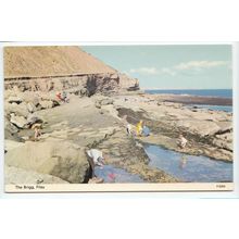 The Brigg Filey Yorkshire Postcard F0204