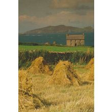 Inishtooskrt County Kerry Postcard
