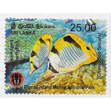 SRI LANKA 2014 PIGEON ISLAND BLACKWEDGED BUTTERFLY FISH MARINE PARK 25R USED
