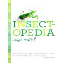 Insectopedia - Hugh Raffles