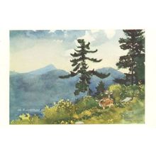 Winslow Homer North Woods Club Adirondacks Victorian Painting Postcard