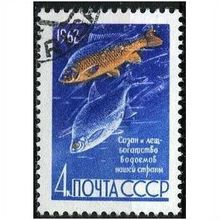 1962 Michel 2640 - cancelled