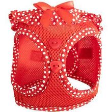 Red Polka Dot Ruffle 2X-Large