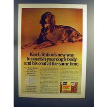 1975 Ken-L Ration Dog Food Ad - Irish Setter