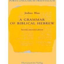 A Grammar of Biblical Hebrew