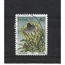 SouthAfrica.SG417 4c Protea Longifolia.Fine Used.Sep25q