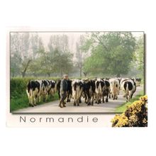 NORMANDY, FRANCE used postcard 2000 postmark milking cows #