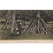 ED 201 NEW FOREST - BRUSHER MILL- SNAKE CATCHER . FGO PRINTED POSTCARD