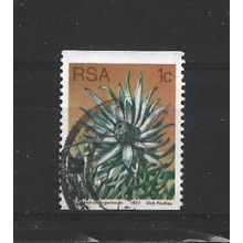 SouthAfrica.SG431 1c Leucadendron Argenteum.Fine Used.Sep25e