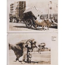 Bullock East Bombay Elephant & Trainer 2x Indian Real Photo Postcard s