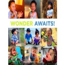 Wonder Awaits