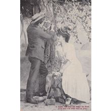 Painting A Love Heart On Tree Edwardian Romance Old Postcard