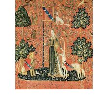 Paris Musee De Cluny Tenture De La Dame A La Licorne Tapestry Postcard