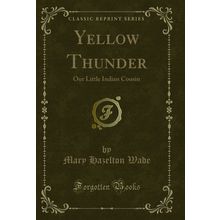 Yellow Thunder: Our Little Indian Cousin (Classic Reprint)