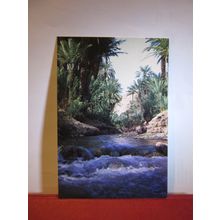VALLEE DU TODGHA, MOROCCO, MAROC unused postcard =
