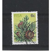SouthAfrica.SG419 6c Protea Canaliculata.Fine Used.Sep25i