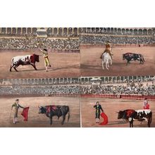 Bulls Covered In Blood 4x Vintage Gory Spanish Bullfighting Postcard s