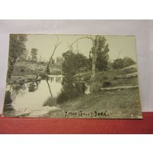 7 MILE GULLY, YORK.. unused antique postcard RP /