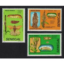 Senegal Harmful Insects 3v 1982 MNH SG#748-750 MI#767-769