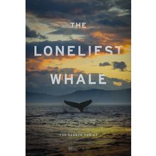 The Loneliest Whale The Search for 52 2 Poster Canvas Movie Film Print A0 A1 A2