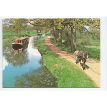 Working Horse Captain with Tivertonian Nr Tiverton Grand Western Canal Postcard