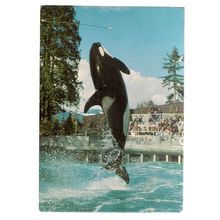 VANCOUVER AQUARIUM, Stanley Park, CANADA used postcard 1974 postmark Whale