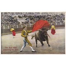 Bull Killer Prepares The Angry Bull Spanish Matador Bullfight Old Postcard