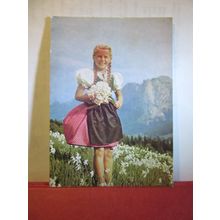 MEADOW WITH FLOWERS, NARCISSUS POETICUS, AUSTRIA unused vintage postcard =