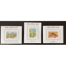 Madagascar 1995 Mi. Bl. A-C264 Insectes Criquets Heuschrecken Grasshopper faune
