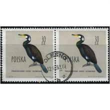 1960 Michel 1199 - fine used (o) - pair