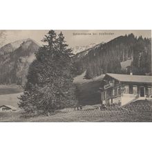 Adelboden Shermtanne Restaurant Switzerland Postcard & Frank