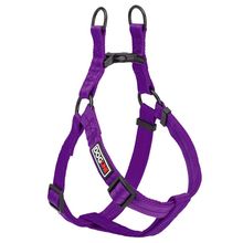 Flat Nylon Harness W1" L24"-34" Purple L
