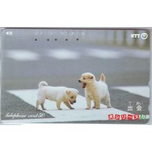 Puppies On Road Japan NTT Phone Card