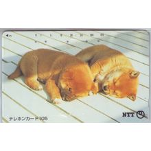 Puppies V4 Japan NTT Phone Card