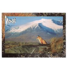 FOX, NORWAY unused postcard vgc #