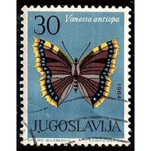 Yugoslavia 1964 Butterfly 30D Used Stamp