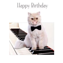 Happy Birthday - Birthday Greeting Card - 758