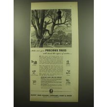 1949 Davey Tree Expert Company Ad - Make sure your precious trees will stand