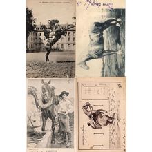 French Horse Racing 4x Antique Race Training Equestrian Postcard s