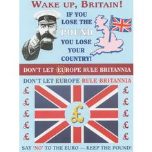Dont Let Europe Rule Britannia Brexit Politics 2x Postcard s