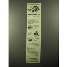 1922 White Star Line Ad - The Magnificent Trio