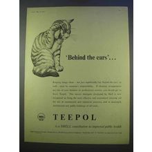 1955 Shell Teepol Ad - Behind the Ears