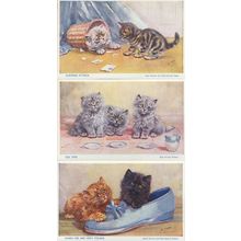 Black Blue Persian Cat Kitten Ballet Shoe Slipper 3 Salmon Old Postcard s