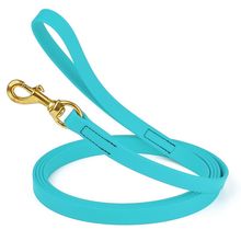 Dog Pet Leash Sky Blue w/ Brass Hardware W 3/4" - L33'