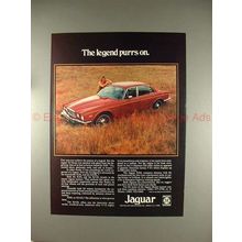 1975 Jaguar XJ Series Car Ad - The Legend Purrs On!!