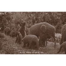 Noahs Arc Antique Scottish Procession Of Animal Hedge Real Photo Postcard