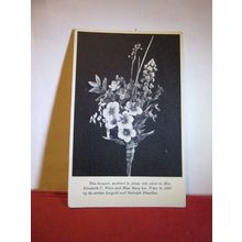 A GLASS BOUQUET OF FLOWERS vintage postcard Ware Collection, Harvard University=