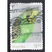 Australia 2022 Budgerigars - Golden-face Budgerigar - "Celery" $1.10 s/a Used