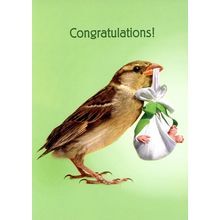 How Tweet! - Tree Free Greeting Card - 14406