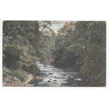 Colinton Dell Edinburgh 1917 M Wane & Co Postcard
